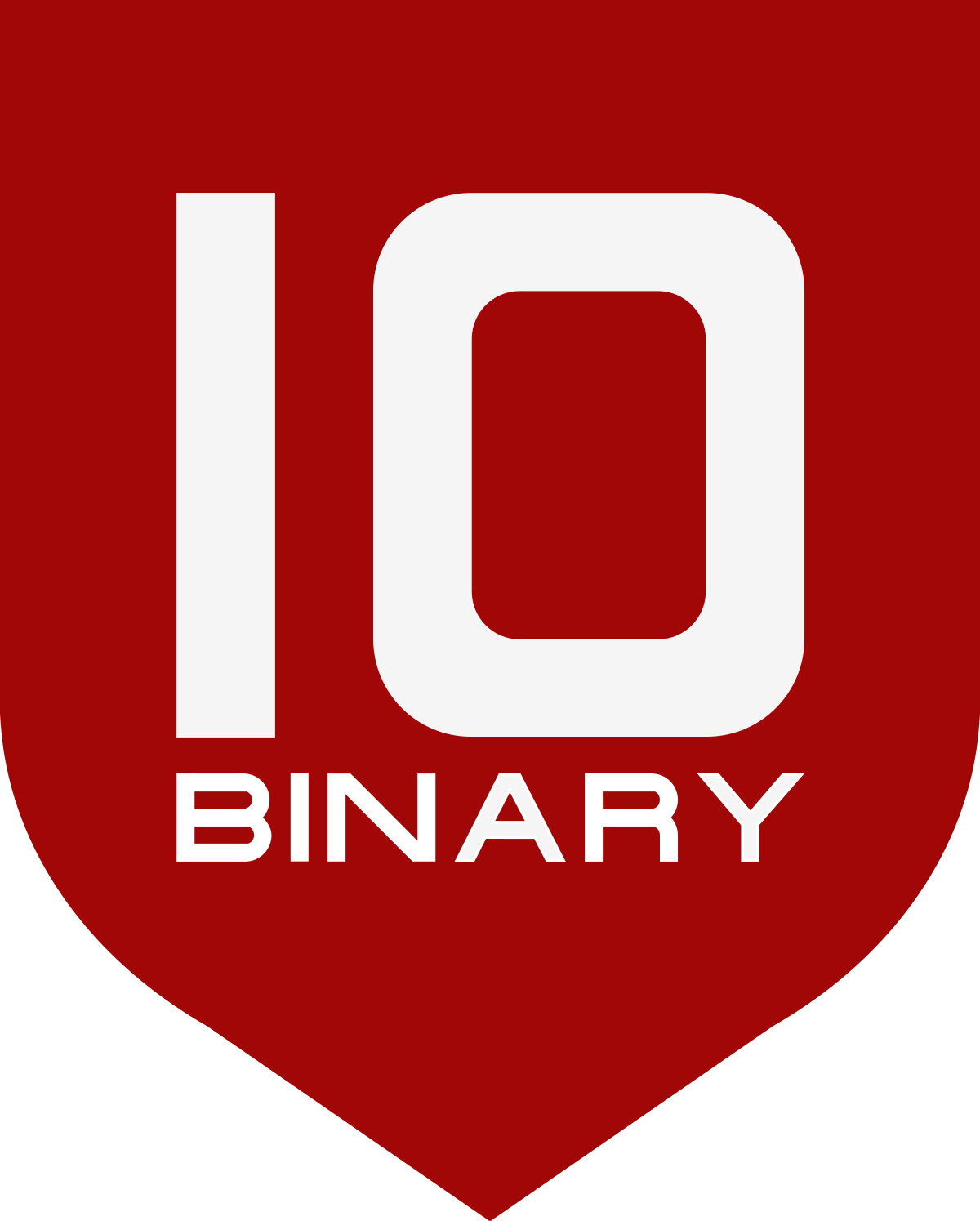 Binary Institute
